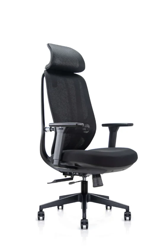Ergonominė biuro kėdė NOBRIUM V1