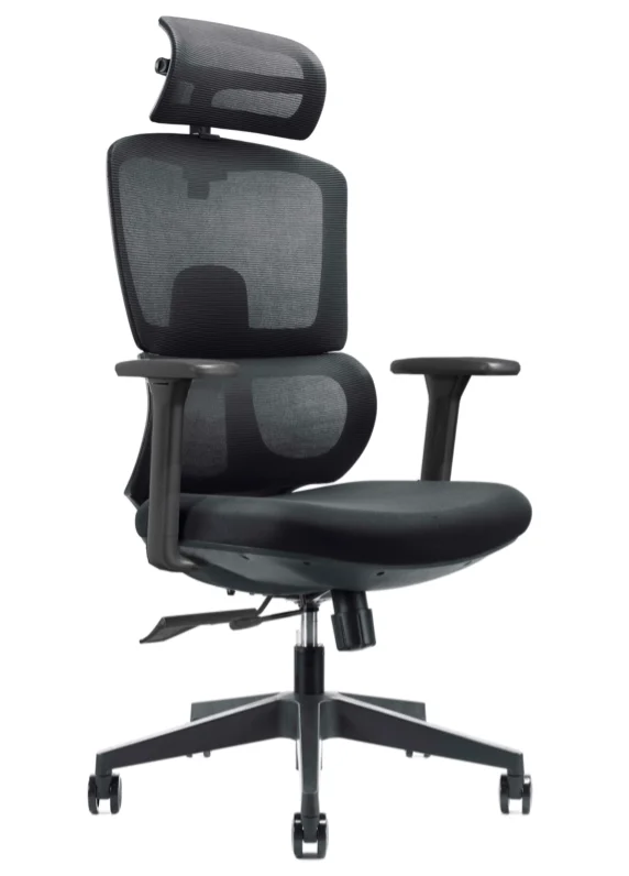 Ergonominė biuro kėdė BERK V1